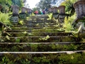 Irland 14 Bantry - 0469