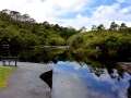 Irland 15 Garinish - 0494