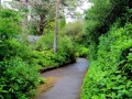 Irland 15 Garinish - 0513