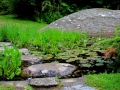 Irland 15 Garinish - 0530
