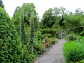 Irland 15 Garinish - 0538