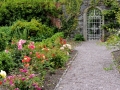 Irland 15 Garinish - 0539