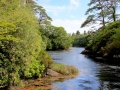 Irland 15 Garinish - 0550
