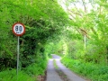 Irland 16 Fahrt-Glencar - 0569