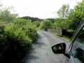 Irland 16 Fahrt-Glencar - 0571
