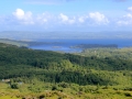 Irland 16 Fahrt-Glencar - 0573