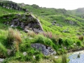 Irland 16 Fahrt-Glencar - 0583