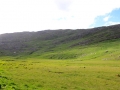 Irland 16 Fahrt-Glencar - 0586