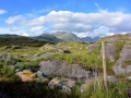 Irland 16 Fahrt-Glencar - 0589
