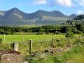 Irland 16 Fahrt-Glencar - 0590