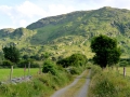 Irland 16 Fahrt-Glencar - 0591