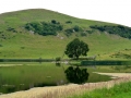 Irland 33 Lough Gur - 0744