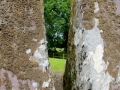 Irland 33 Lough Gur - 0757