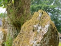 Irland 33 Lough Gur - 0759