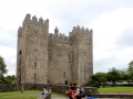 Irland 34 Bunratty - 0761