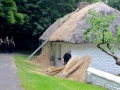 Irland 34 Bunratty - 0775