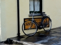Irland 34 Bunratty - 0793