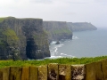 Irland 35 Cliffs of Moher - 0802