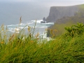 Irland 35 Cliffs of Moher - 0807