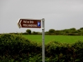 Irland 36 Poulnabrone - 0814