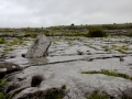 Irland 36 Poulnabrone - 0815
