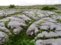 Irland 36 Poulnabrone - 0816