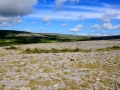Irland 36 Poulnabrone - 0820