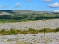 Irland 36 Poulnabrone - 0822