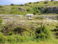 Irland 36 Poulnabrone - 0827