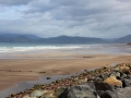 Irland 17 Rossbeigh - 0567