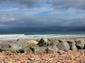 Irland 17 Rossbeigh - 0568