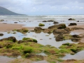 Irland 17 Rossbeigh - 0574