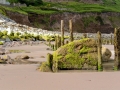 Irland 17 Rossbeigh - 0575