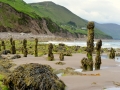Irland 17 Rossbeigh - 0576