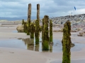 Irland 17 Rossbeigh - 0577
