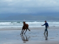 Irland 17 Rossbeigh - 0584