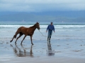Irland 17 Rossbeigh - 0586