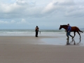 Irland 17 Rossbeigh - 0587