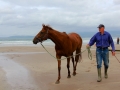 Irland 17 Rossbeigh - 0588