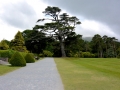 Irland 22 Muckross House - 0628