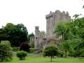Irland 10 Blarney Castle - 0354