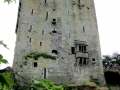 Irland 10 Blarney Castle - 0359