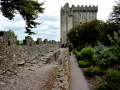 Irland 10 Blarney Castle - 0381