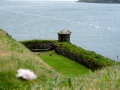 Irland 11 Charles Fort - 0422