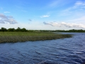 Irland 43 Shannon Teil I - 0908