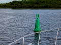 Irland 43 Shannon Teil I - 0910