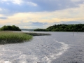 Irland 43 Shannon Teil I - 0914