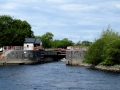 Irland 44 Shannon Teil I - 0939