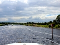 Irland 44 Shannon Teil I - 0946