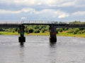 Irland 44 Shannon Teil I - 0959